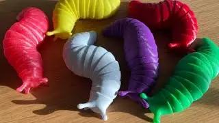 3D Printed Articulated Fidget Slug Toy ASMR SOUNDS