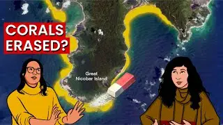 Modi govt made Nicobar corals disappear. How we found out | True Story
