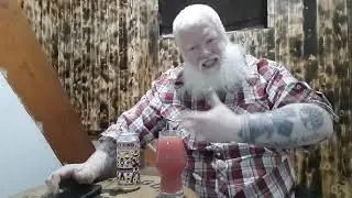 Bellwoods Jelly King Pink Lemonade  : Albino Rhino Beer Review