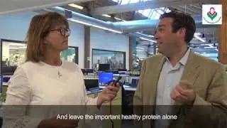 A new treatment for Huntington's Disease?