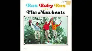 Newbeats &ndash; &ldquo;It&rsquo;s Really Goodbye&rdquo; (mono) (Hickory) 1965