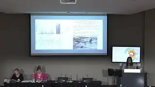 Robyn Daniels Interannual variability of the acoustic occurrence of Orcas, the Prince Edward Islands