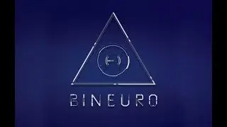 BiNeuro # Обзор ICO