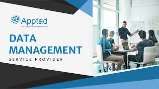 Data Management Service Provider| Data & Information Management Partner