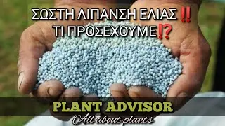 Σωστή Λίπανση Ελιάς ‼️Τι προσέχουμε⁉️ 6 Σοβαρά λάθη ‼️Plant Advisor Greece
