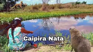 A PESCARIA  CAIPIRA HOJE FOI NA ROÇA- PESCA DE TRAIRA #pescaria 