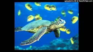 First Time by Styx