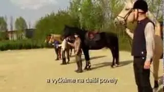 Formální ukázka výcvikové lekce jizdy na koni - Jízdárna Radonice