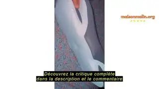 Avis sur la JINXIA Oreiller Memoire Forme pour Tous Les Types de Dormeurs, Oreiller Orthop&eacute;dique Erg