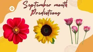 September Month Predictions 2024 | செப்டம்பர் மாத பலன்கள் | Tamil Tarot Reading | Sailakshmi