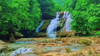 Relaxing Music For Stress Relief, Anxiety and Depressive States🌿 Heal Mind, Sleep Music 38