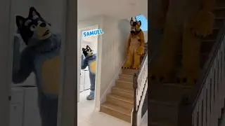 I&rsquo;m not interested in that Bandit! 😡 I need Mom!!! #Furry #TikTok #ZombieEra #Bluey