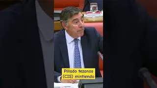 pillado tezanos (CIS) mintiendo. #tezanos #cis #mentiras #noticias #espa&ntilde;a #actualidad