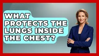 What Protects the Lungs Inside the Chest? | All About Anatomy Answers News