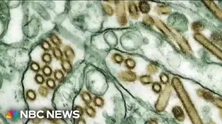 HHS cancels $766M in funding for Moderna to develop MRNA vaccine against bird flu