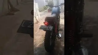 Tiger2004 pokok.e Losss