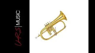 Instrument 117. Tenor Flugelhorn in C / Fliscorno (Fiscorno) Tenor en Do - Uriel Rodríguez S.