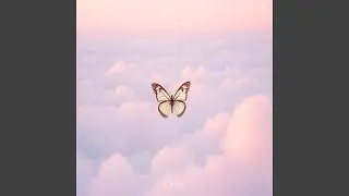 Broken but Beautiful