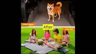 Comfort & Safety: Best Car Seats for Travelling with Dogs!