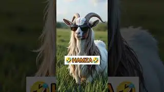 Goat calling name HAMZA in funny style 🤣🤣 #foryou #funny #fyp #fypviral #viral