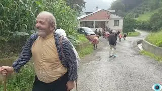 YAYLA GÖÇÜ
