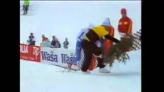 Havuja perkele!