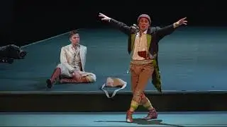 Christoph Filler - Arie Papageno - Der Vogelfänger bin ich ja