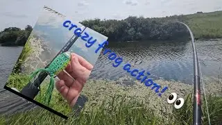 Tons of largemouth on frog topwater! 🐸 catching bass in the late summer season!