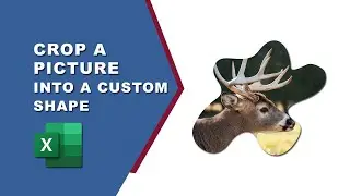 How to crop a picture into a custom shape in Excel | How to crop an image in a custom shape