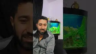 بدأت قناة 