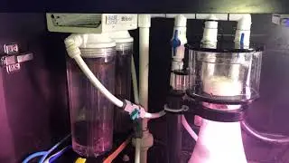 Red Sea Reefer 450