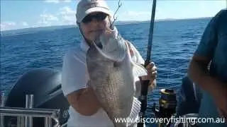 Gold Coast Fishing Charters Snapper