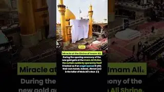 Miracle at the shrine of Imam Ali a.s #livemajlis #karbala #najaf #mirhasanmir #nadeemsarwar