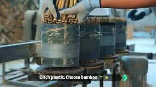 Disposable Bamboo Tableware 🌿Cutlery, Straws, Skewers & Coffee Stirrers Factory Tour #eco #factory
