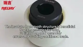 REIJAY Nylon Gear Coupling