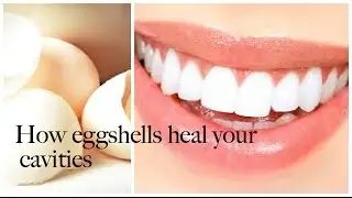 DIY HOMEMADE EGGSHELL TOOTPASTE
