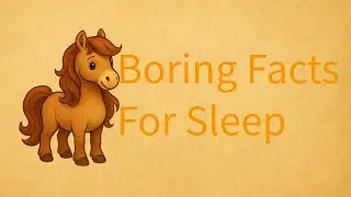 500 Facts about Horses | Boring Facts For Sleep