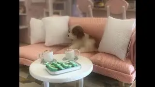 DIY Dollhouse Miniature Creative Room Idea (Tranquil Life)