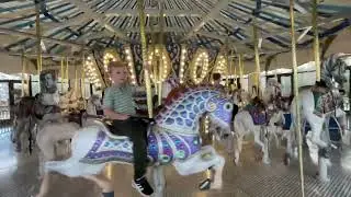 Carousel at the curiosity museum