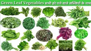 Green Leafy Vegetables Names in Hindi and English || Green Vegetable in Names | हरी सब्जियों के नाम
