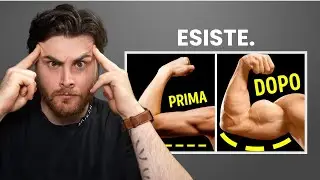 La MEMORIA MUSCOLARE È REALE! Lo Dice Questo Nuovo Studio