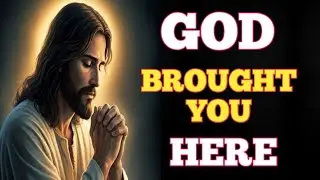 You Are Not Here by Accident | God Brought You Here for Peace