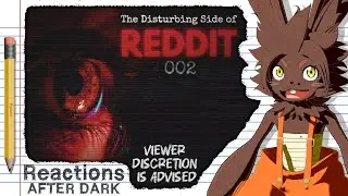 Unrelenting Stranger Danger【The Disturbing Side of Reddit 2】 Reactions After Dark