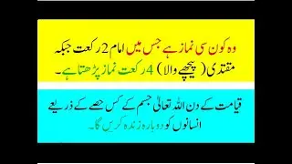 Common Sense Questions Common Sense Quize About Islam Faisal ali tv Riddles #164