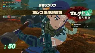 【ゼルダ無双 封印戦記 :50】セレス平原制圧戦【ネタバレ注意】