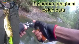 Randuk solo casting tengas//copper mahseer(#vlog4)