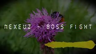 Nexeuz - Boss Fight