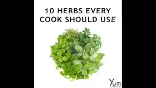 10 Herbs Every Cook Should Use