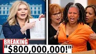 The $800M RECKONING Karoline Leavitt Just Exposed The View's Biggest Lie