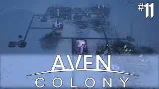 Aven Colony #11 Harsh Winters